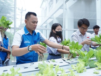 kegiatan urban farming 