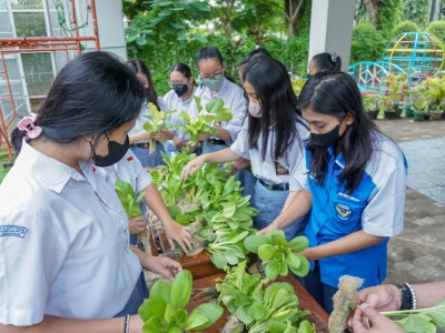 kegiatan urban farming