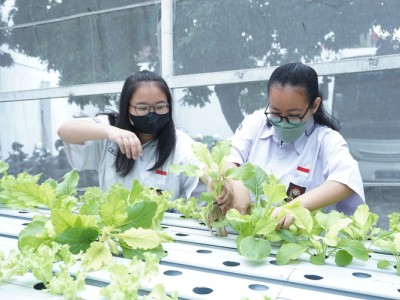 kegiatan urban farming 